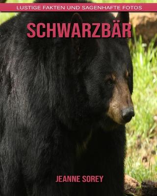 Book cover for Schwarzbär