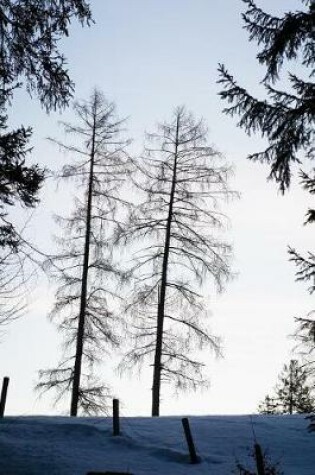 Cover of Branches of Two Tall Trees Against a Winter Sky Journal