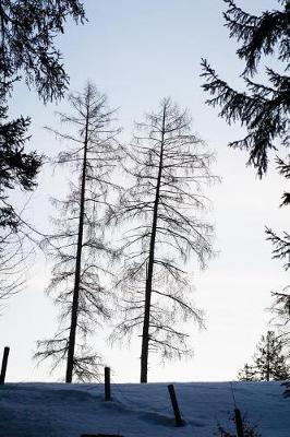 Book cover for Branches of Two Tall Trees Against a Winter Sky Journal