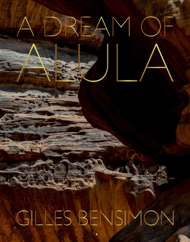 Book cover for A Dream of Alula