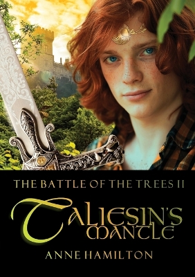 Book cover for Taliesin's Mantle