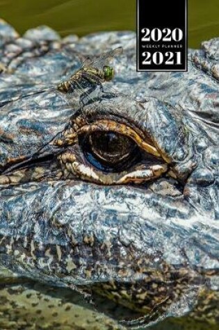 Cover of Crocodile Alligator Gharial Caiman Reptile Week Planner Weekly Organizer Calendar 2020 / 2021 - Dark Eyes