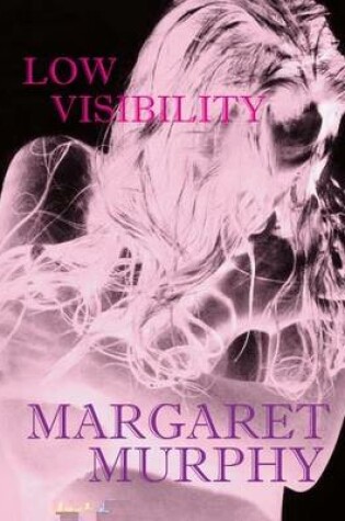 Cover of Low Visibility