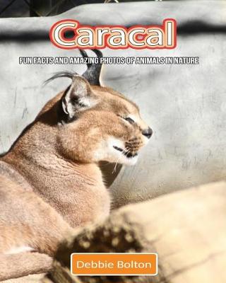 Book cover for Caracal