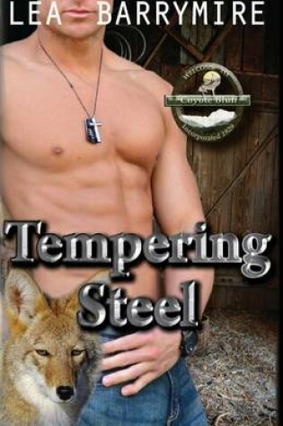 Cover of Tempering Steel