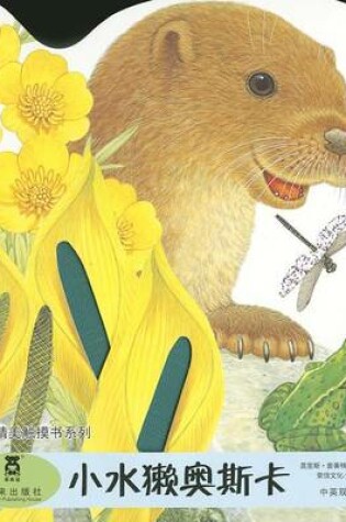 Cover of An Adventure with Oscar Otter (a Peek & Find Book)
