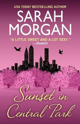 Book cover for Sunset in Central Park