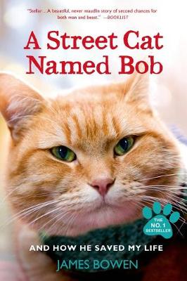 Book cover for A Street Cat Named Bob and How He Saved My Life