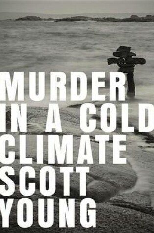 Cover of Murder in a Cold Climate