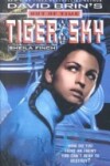 Book cover for Tiger in the Sky