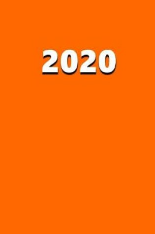 Cover of 2020 Daily Planner 2020 Safety Orange Color 384 Pages