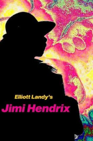 Cover of Elliott Landy's Jimi Hendrix