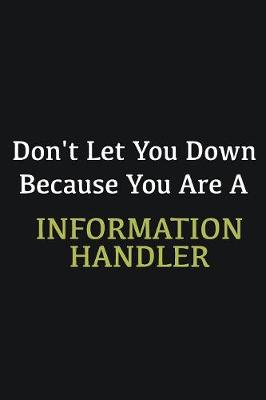 Book cover for Don't let you down because you are a Information Handler