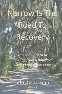 Book cover for Narrow is the Road to Recovery