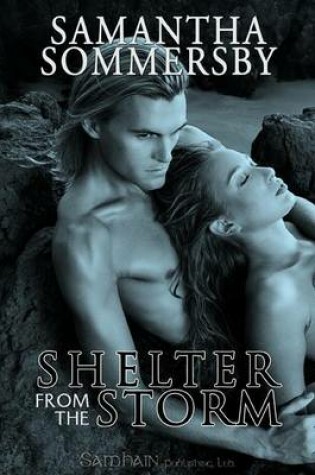 Cover of Shelter from the Storm