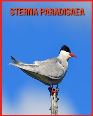 Book cover for Sterna Paradisaea