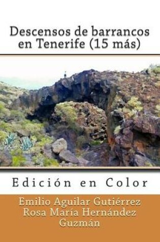 Cover of Descensos de barrancos en Tenerife (15 mas) (Edicion en Color)