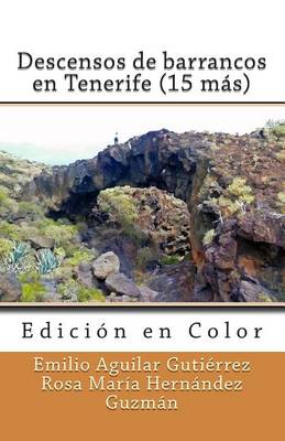 Cover of Descensos de barrancos en Tenerife (15 mas) (Edicion en Color)