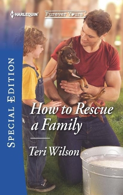 Book cover for How to Rescue a Family