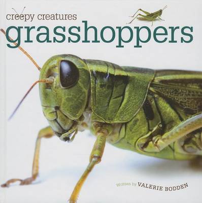 Book cover for Grasshoppers