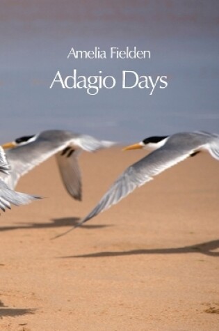 Cover of Adagio Days