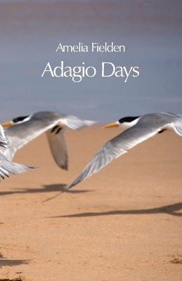 Book cover for Adagio Days