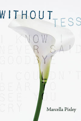 Book cover for Without Tess