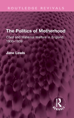 Book cover for The Politics of Motherhood