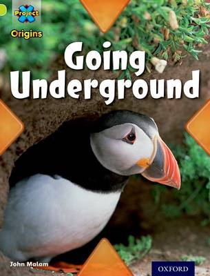 Book cover for Project X Origins: Lime Book Band, Oxford Level 11: Underground: Going Underground