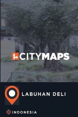 Cover of City Maps Labuhan Deli Indonesia