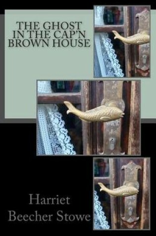 Cover of The Ghost in the Cap'n Brown House