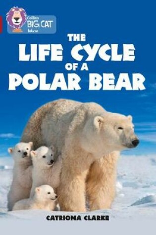 Cover of The Life Cycle of a Polar Bear