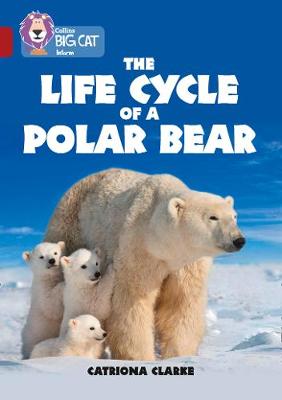 Book cover for The Life Cycle of a Polar Bear