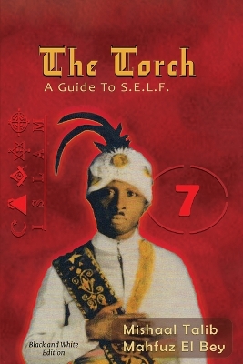 Book cover for The Torch