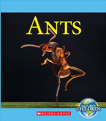 Cover of Ants