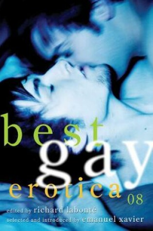 Cover of Best Gay Erotica 2008