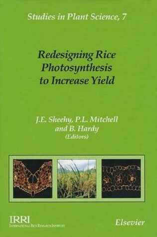 Cover of Redesigning Rice Photosynthesis to Increase Yield