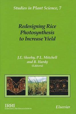 Book cover for Redesigning Rice Photosynthesis to Increase Yield