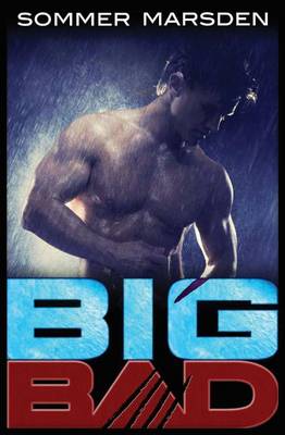 Book cover for Big Bad