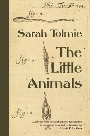 Cover of The Little Animals