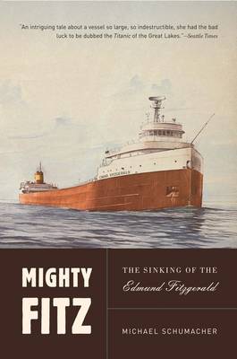 Book cover for Mighty Fitz