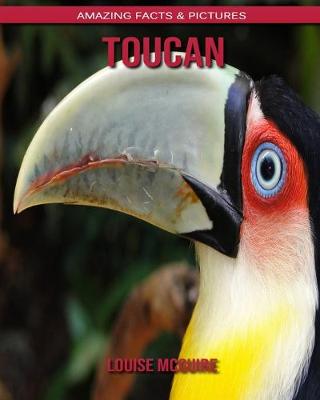 Book cover for Toucan