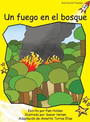 Book cover for Un Fuego En El Bosque