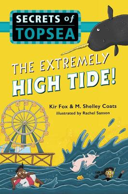 Book cover for The Extremely High Tide!