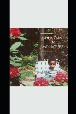 Book cover for Mountains in Miniature