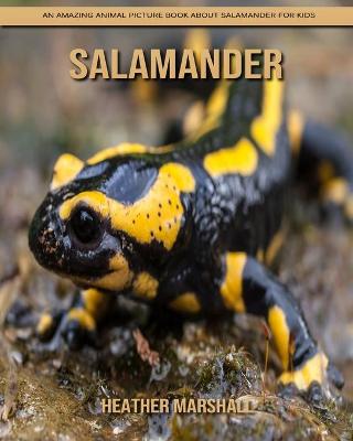 Book cover for Salamander