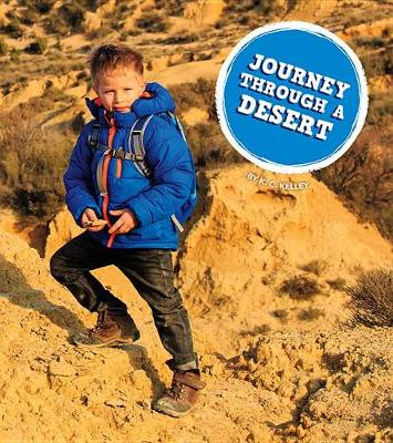 Book cover for Journey Through a Desert