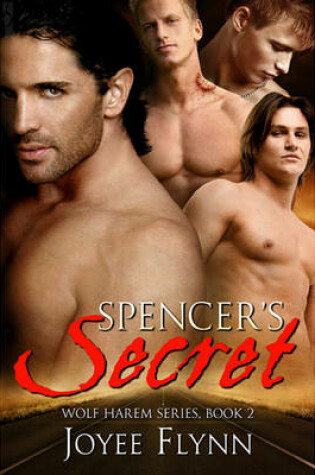 Cover of Spencer's Secret