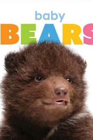 Cover of Baby Bears