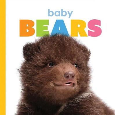 Book cover for Baby Bears